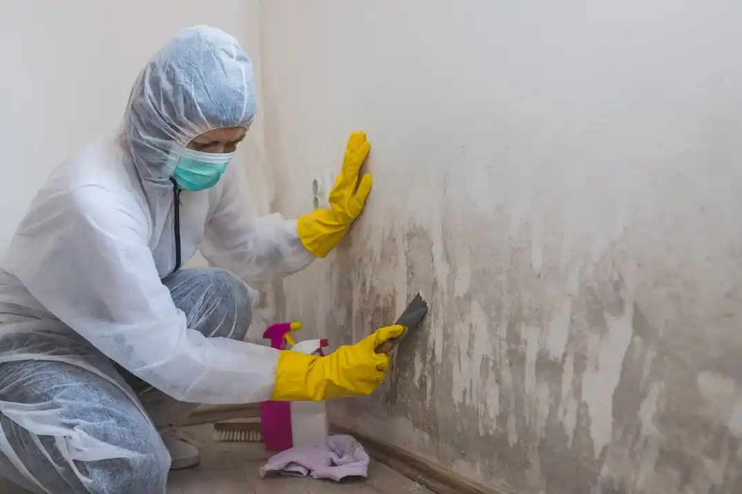 water damage restoration service Ridgecrest